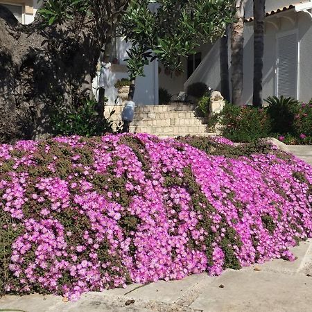 Dimora Sebastian Otel Torre Suda Dış mekan fotoğraf