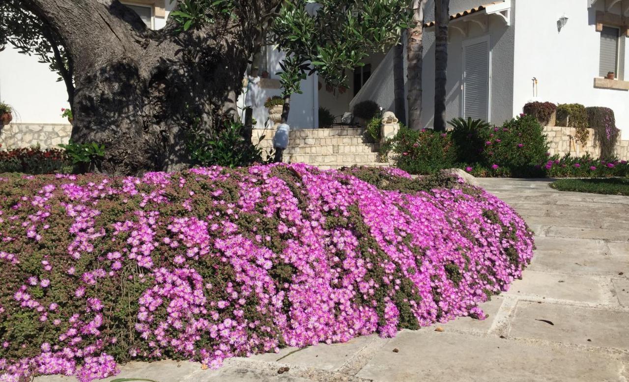 Dimora Sebastian Otel Torre Suda Dış mekan fotoğraf